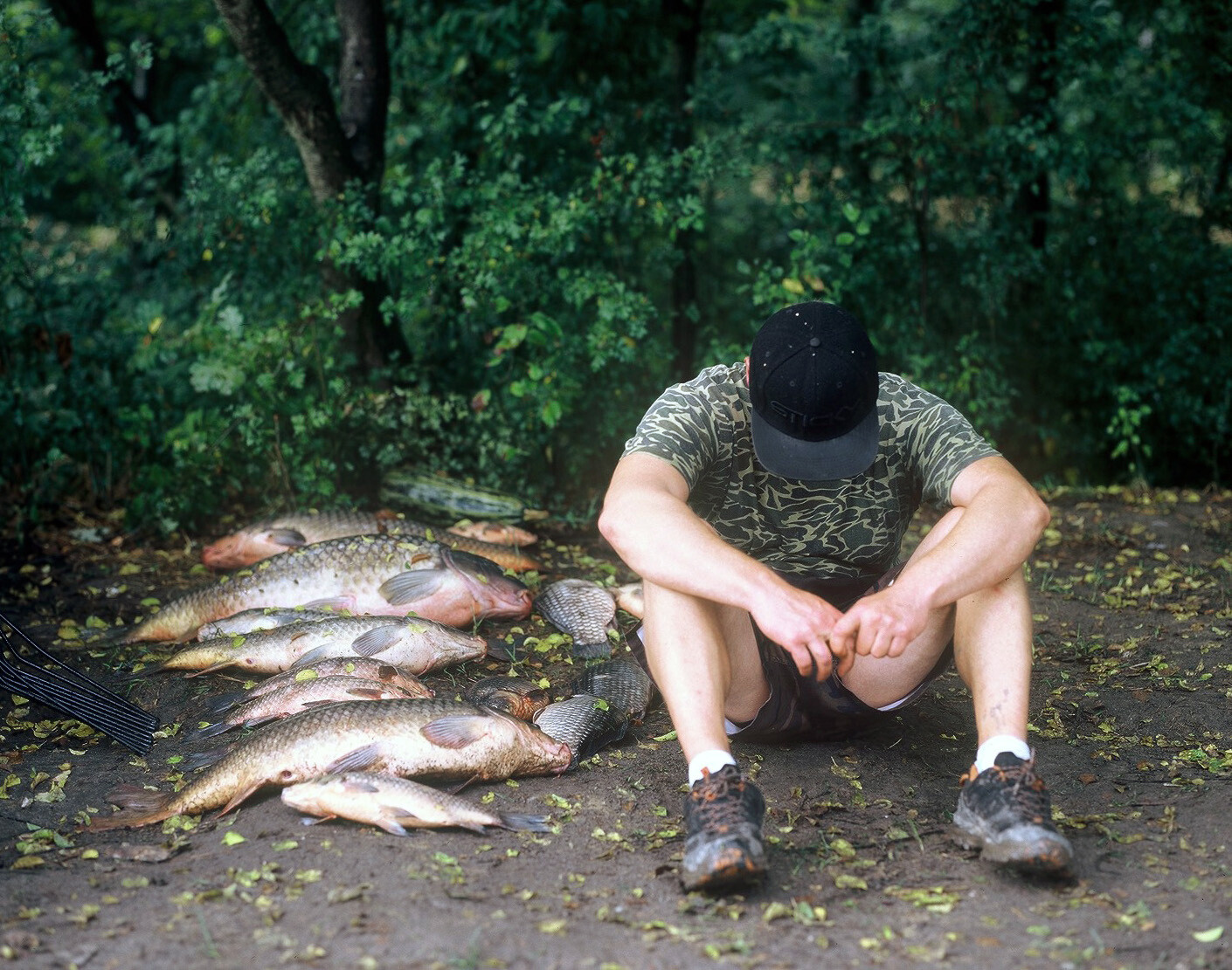Tragedia ekologiczna Dzierżno Duże 2024 - skan z negatywu - foto. Radosław Czapla Tragedia ekologiczna Dzierżno Duże 2024 - skan z negatywu - foto. Radosław Czapla