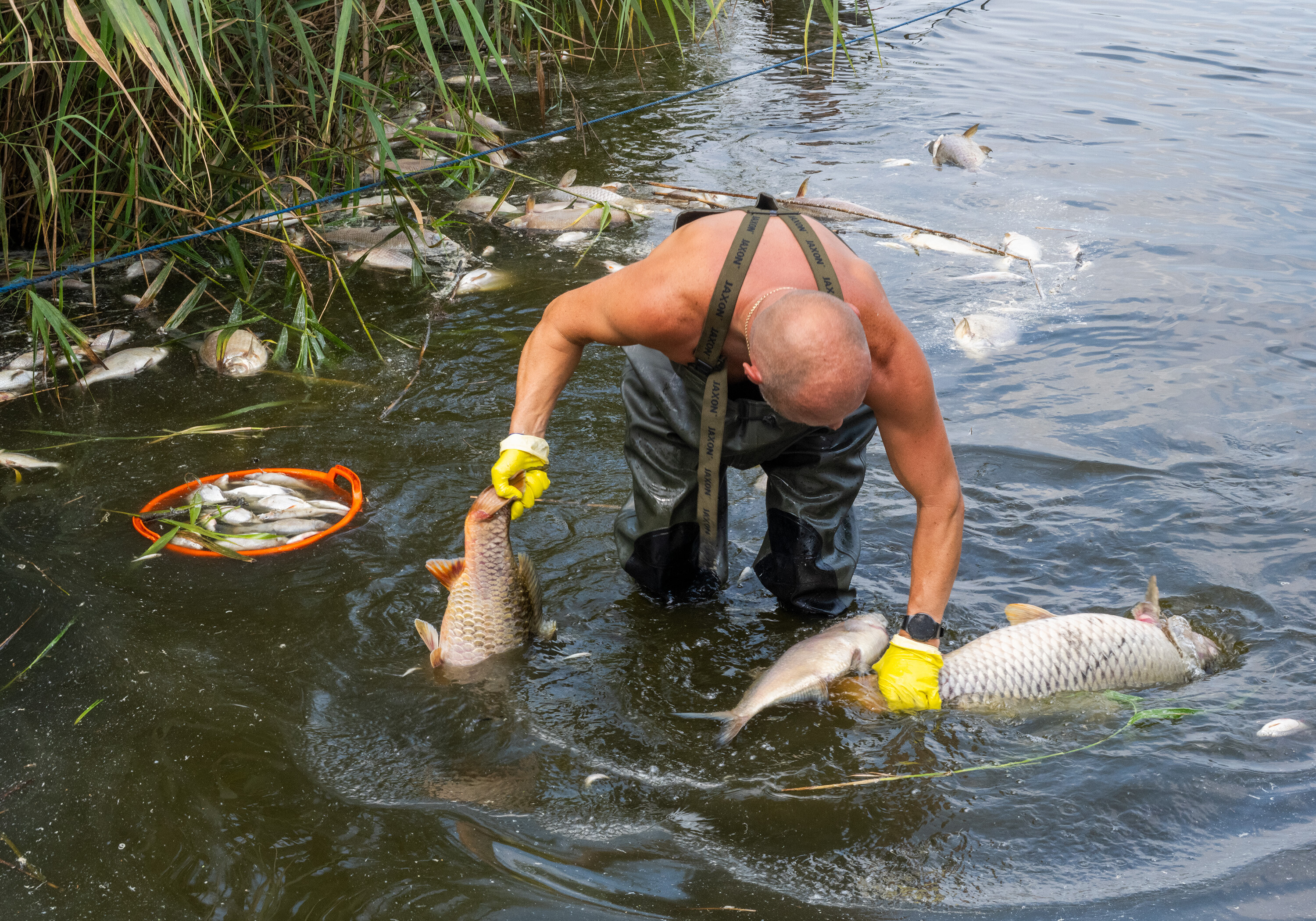 Zdjęcie nominowane do nagrody Grand Press Photo w kategorii "Climate, responsibility" Radosław Czapla Zdjęcie nominowane do nagrody Grand Press Photo w kategorii "Climate, responsibility" Radosław Czapla