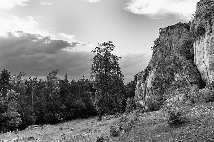 Krajobraz Jura Krakowsko- Częstochowska Krajobraz Jura Krakowsko- Częstochowska